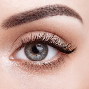 Lash Lift Services